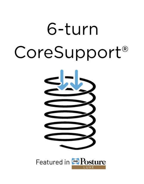 6-turn CoreSupport® icon